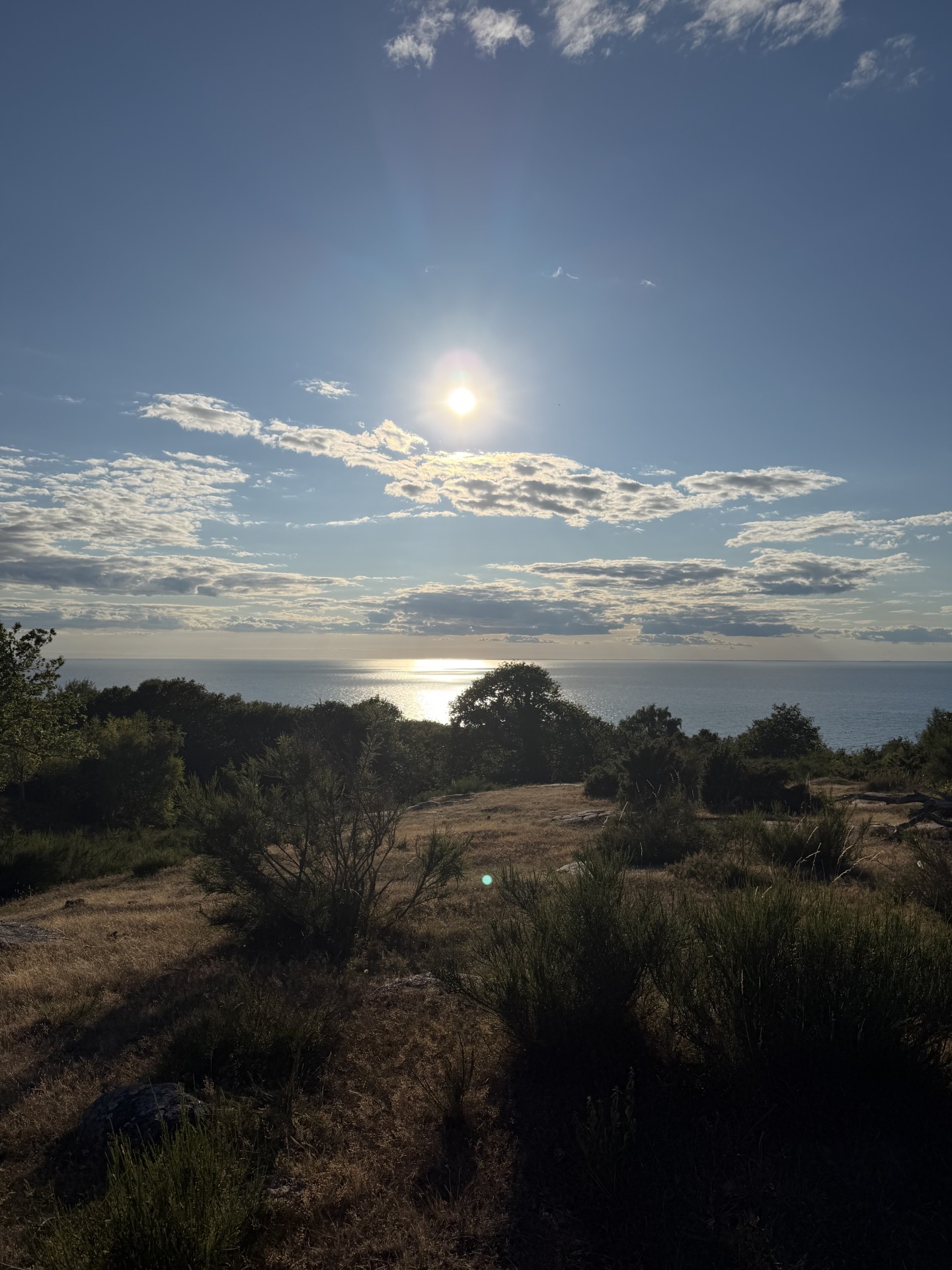 Coaching